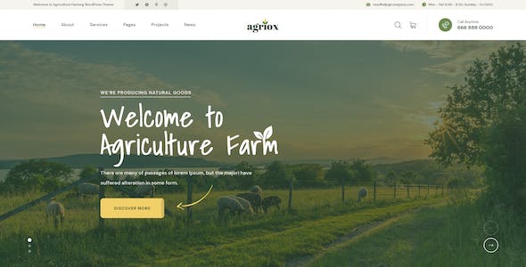 醫(yī)藥網(wǎng)站建設(shè)的技巧分享